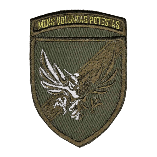 Аеророзвідка морської піхоти. Нарукавний шеврон МП