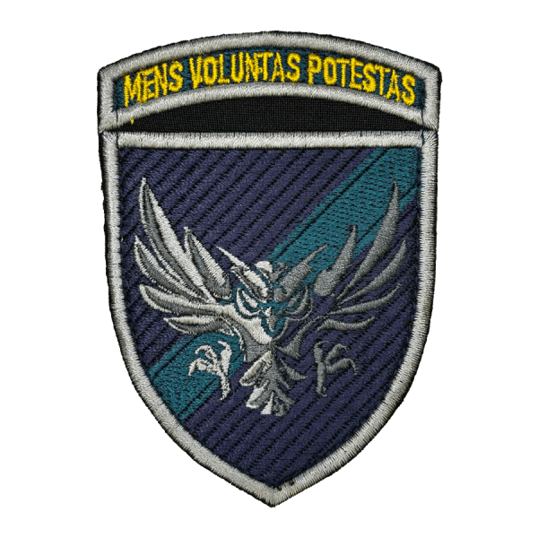 Аеророзвідка морської піхоти. Нарукавний шеврон МП