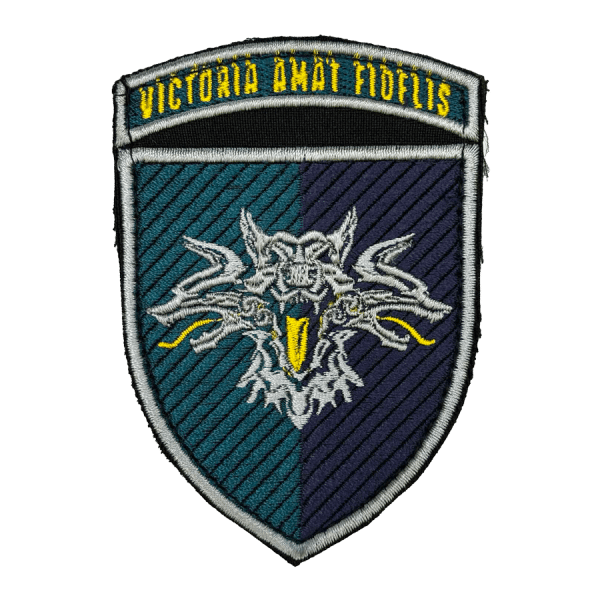 38-та окрема бригада морської піхоти. Нарукавний шеврон МП