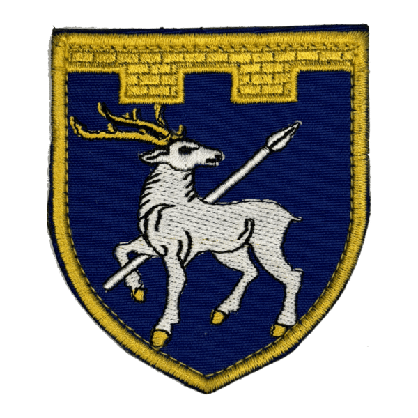 123 окрема бригада ТрО (Миколаївська область). Нарукавний шеврон ЗСУ