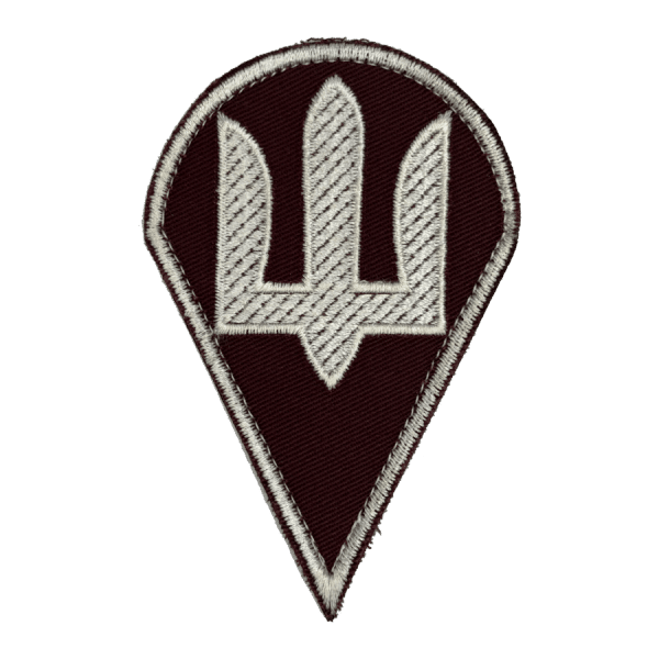 ДШВ загальновійськовий. Нарукавний шеврон ДШВ