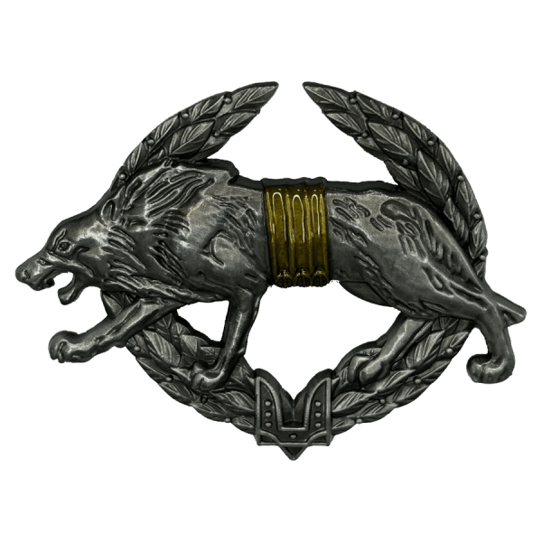 Сили спеціальних операцій. Беретний знак